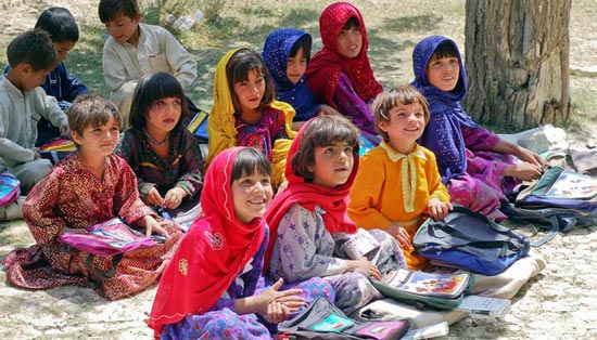 会员开通市场的免费电话轰炸器